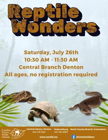 Reptile Wonders