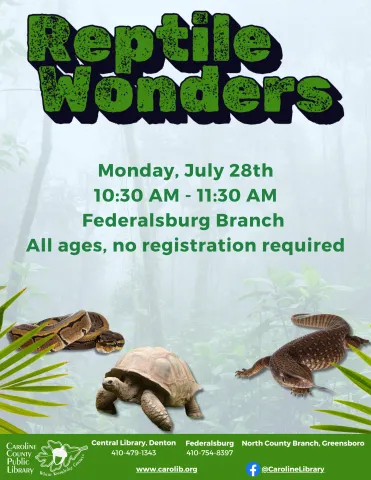 Reptile Wonders