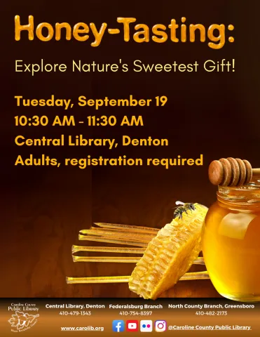 Honey tasting