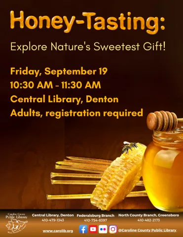 Honey tasting