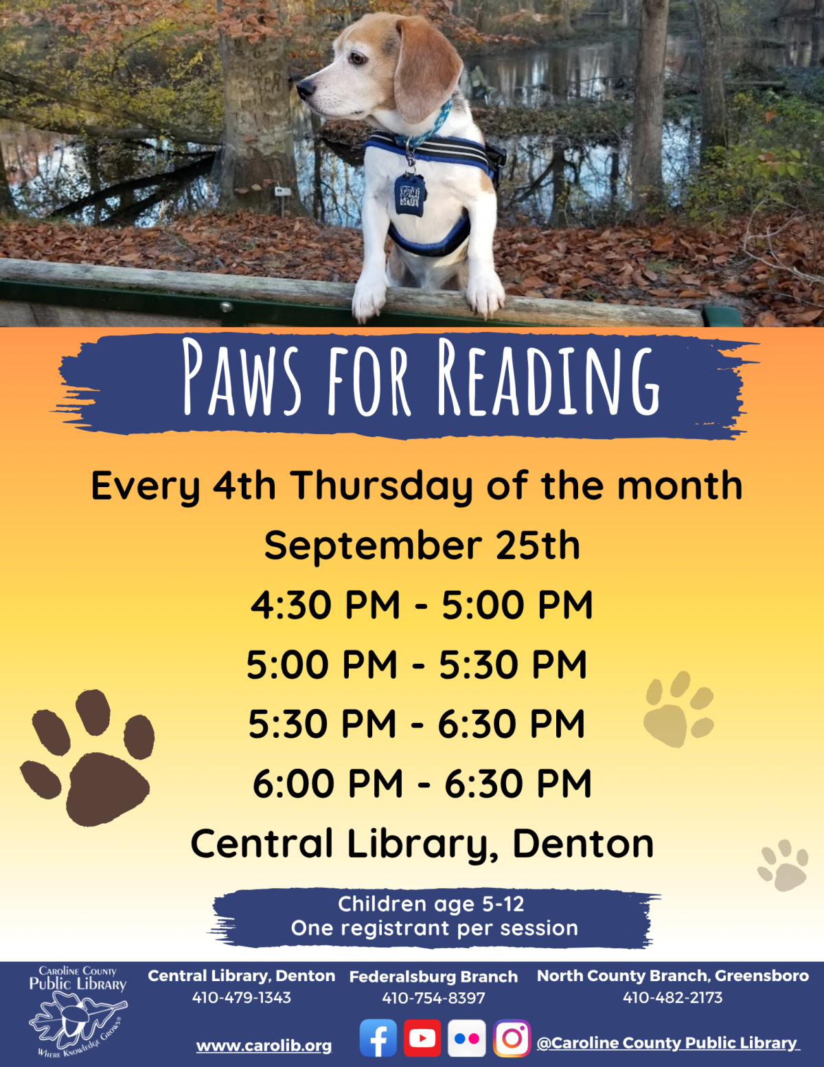 Paws for reading
