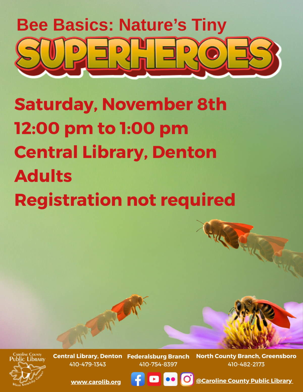 Bee Basics: Nature’s Tiny Superheroes